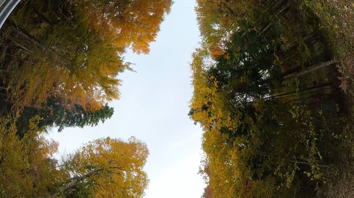 Foliage sloveno mordi e fuggi