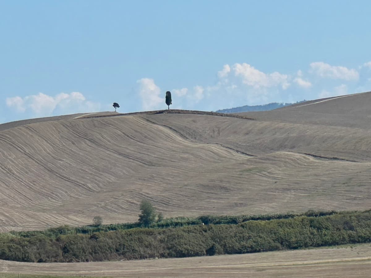 Immagine del viaggio